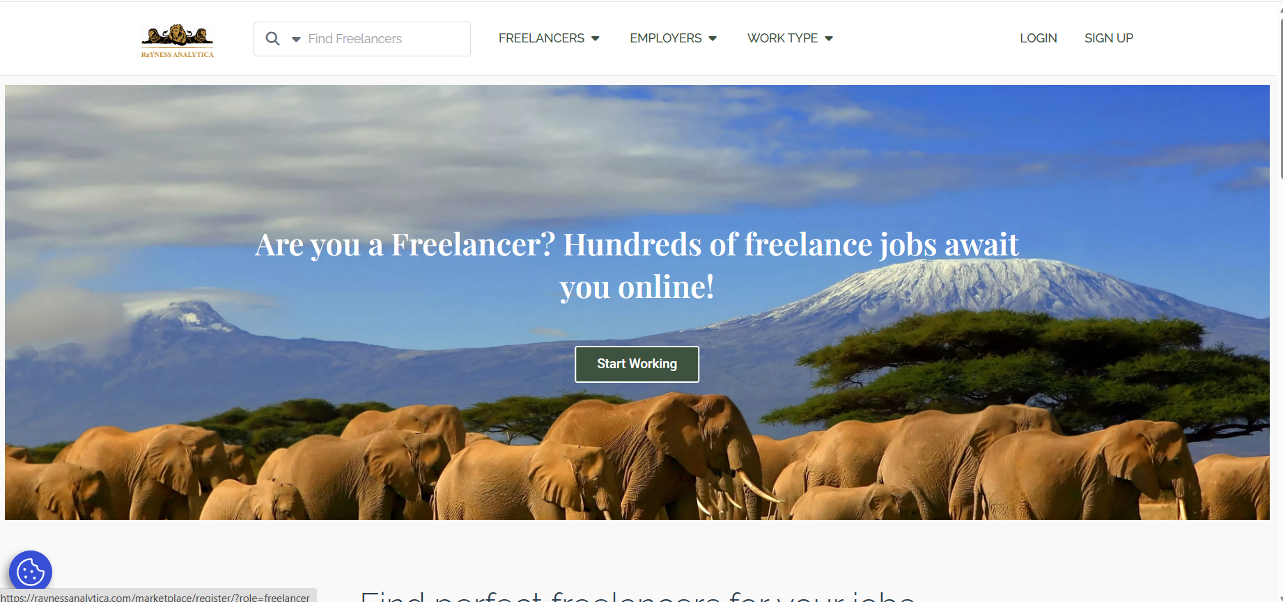 Lawyer | Technology Entrepreneur | Web Developer | SEO Strategist | Founder of RaYNESS ANALYTICA