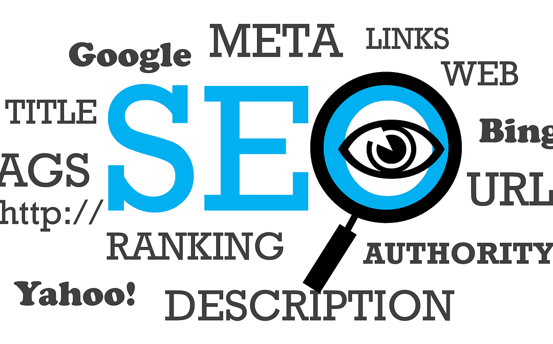 Website Development and SEO Services