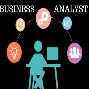 Business Analysts