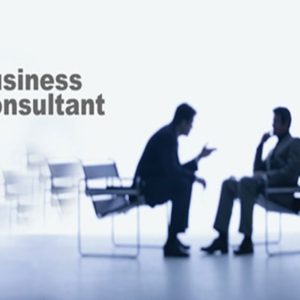 Consultants