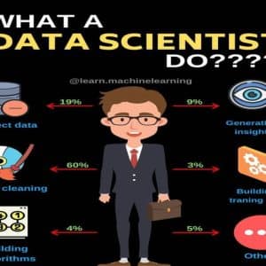 Data Scientists