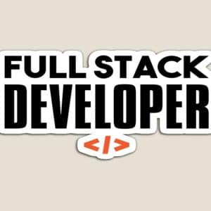 Full Stack Developers