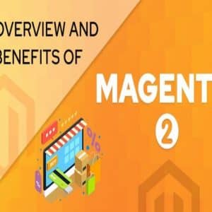 Magento 2 Developers