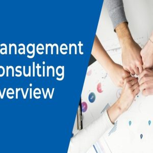 Management Consultants