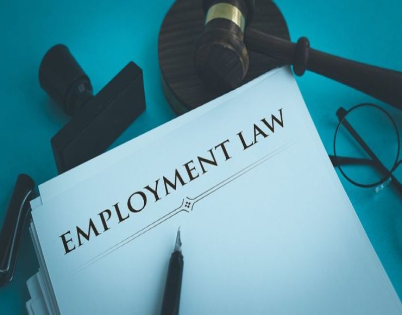 Employment Law Lawyers & Legal Professionals | Rayness Analytica I Professional Services Marketplace Employment Law Lawyers & Legal Professionals