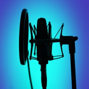 Voice Artists