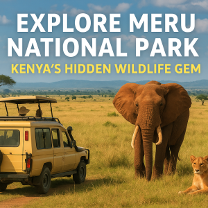 Meru National Park