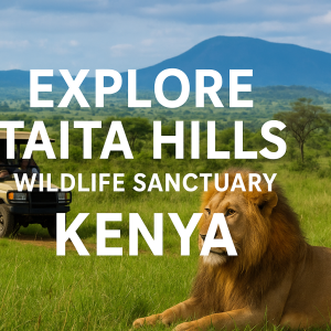 Taita Hills Wildlife Sanctuary