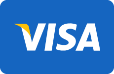 Visa | Rayness Analytica I Professional Services Marketplace Visa logo on a blue rounded-rectangle background